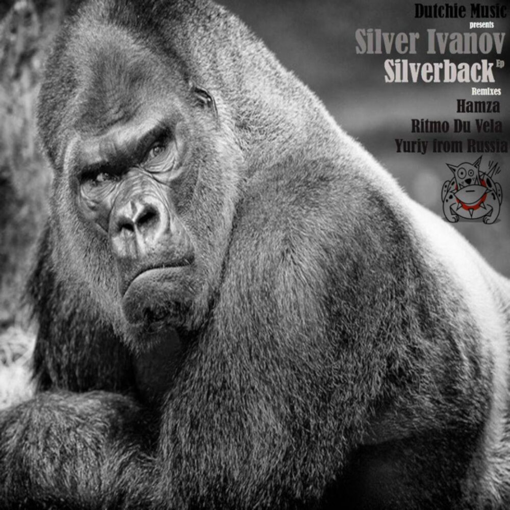 Picture of Silverback