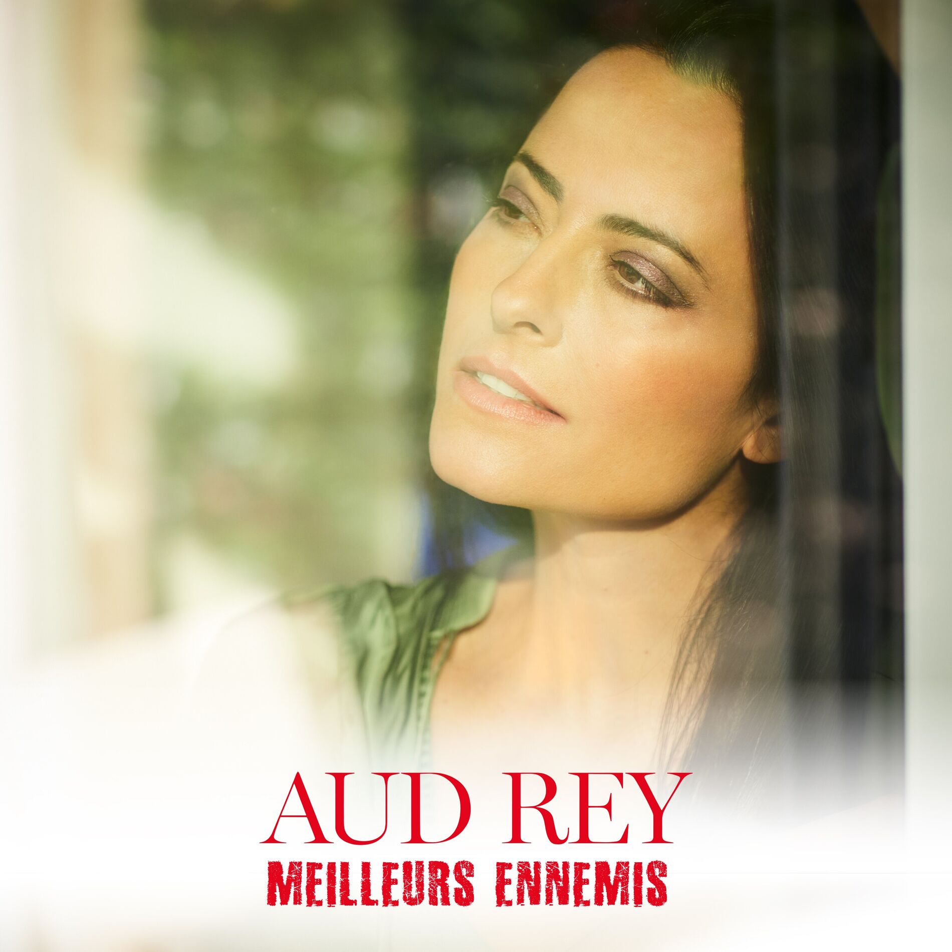 Album cover of Meilleurs ennemis