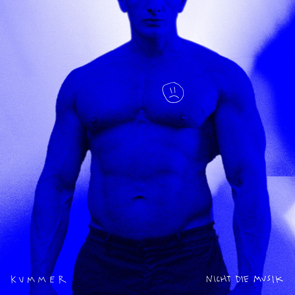 Album cover of Nicht die Musik