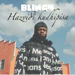 Cover of Hazvidi kudhipisa