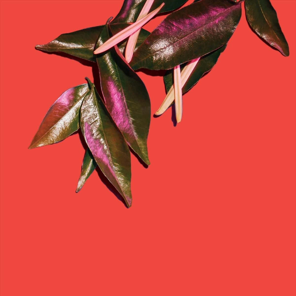 Album cover of Out of the Sky