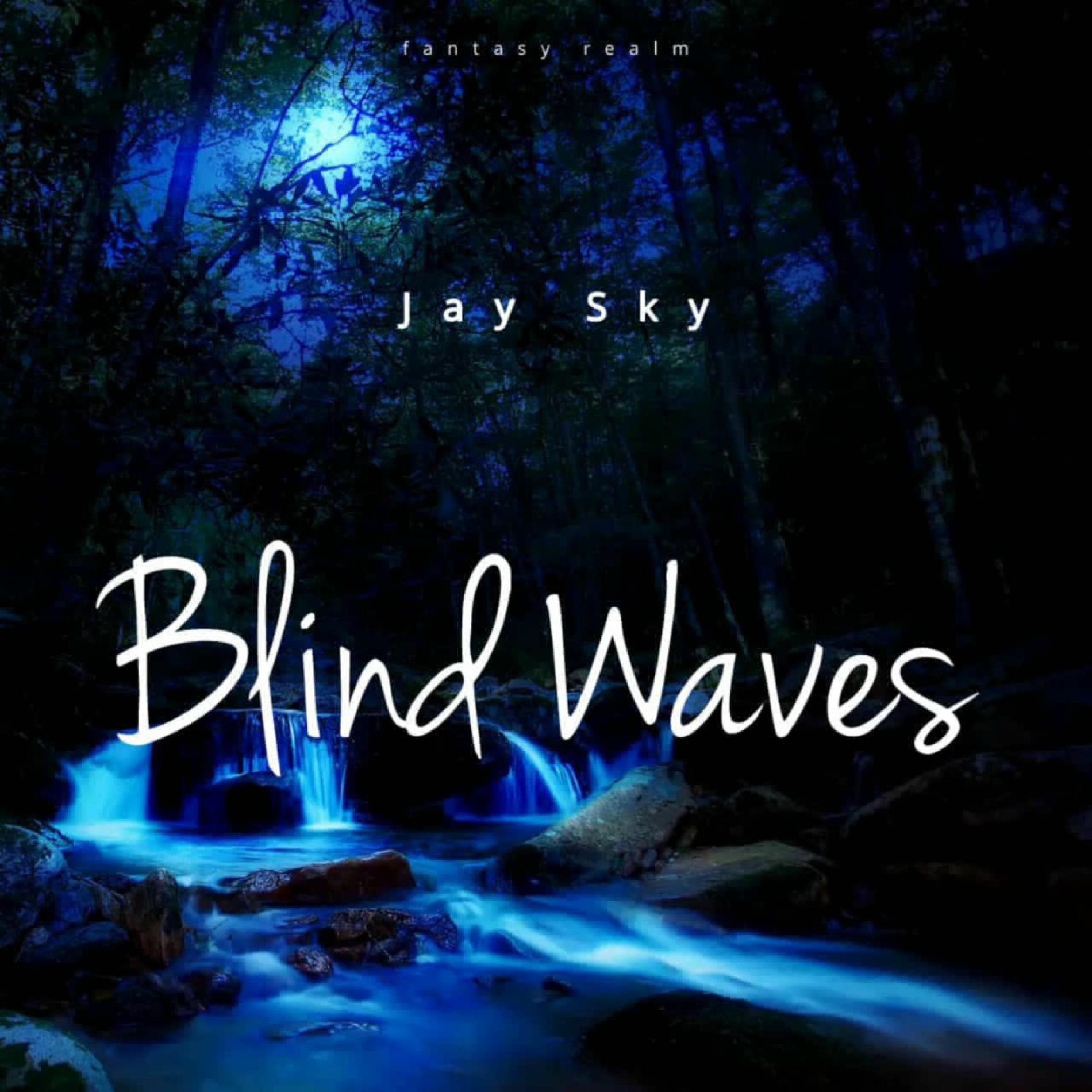 Album cover of Blind Waves (feat. Feki & Pluko)