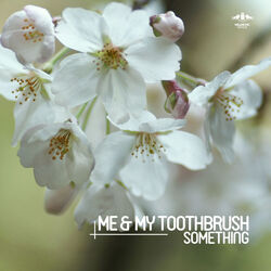 Cover of Something