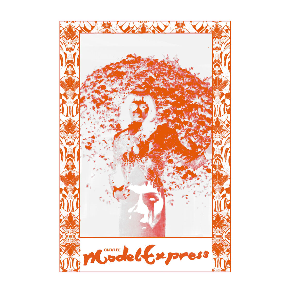 Album cover of Model Express
