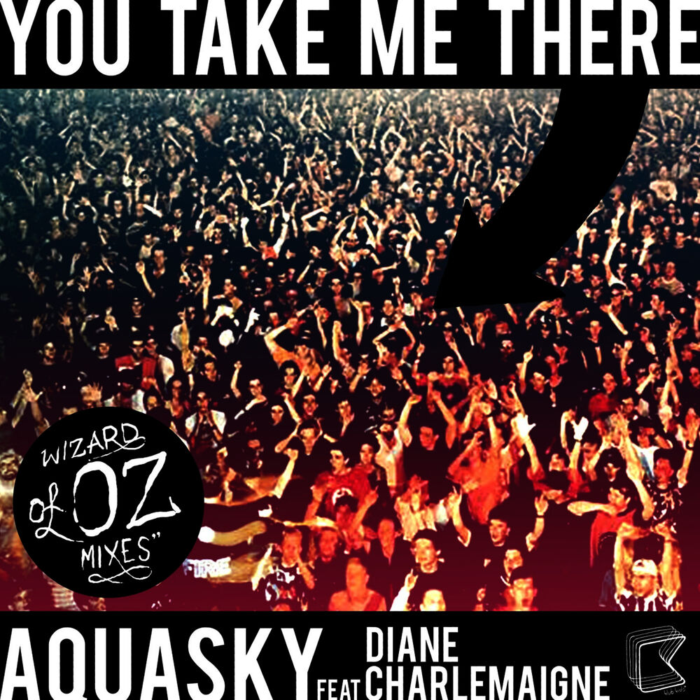 Picture of You Take Me There (feat. Diane Charlemagne) - Wizards Of OZ Mixes