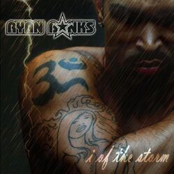 Cover of I of the Storm