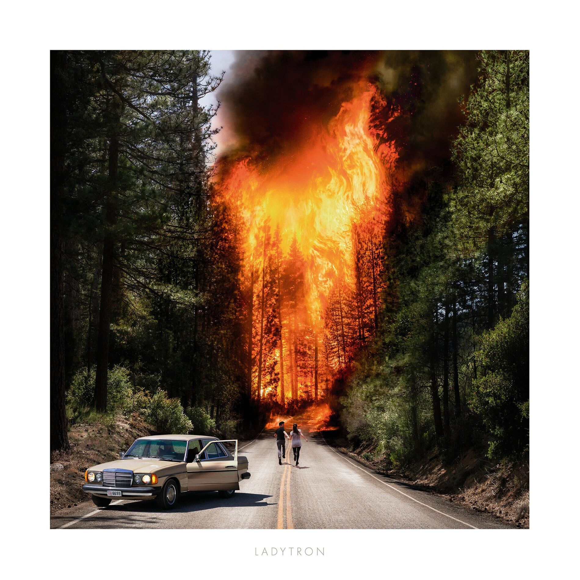 Album cover of Deadzone