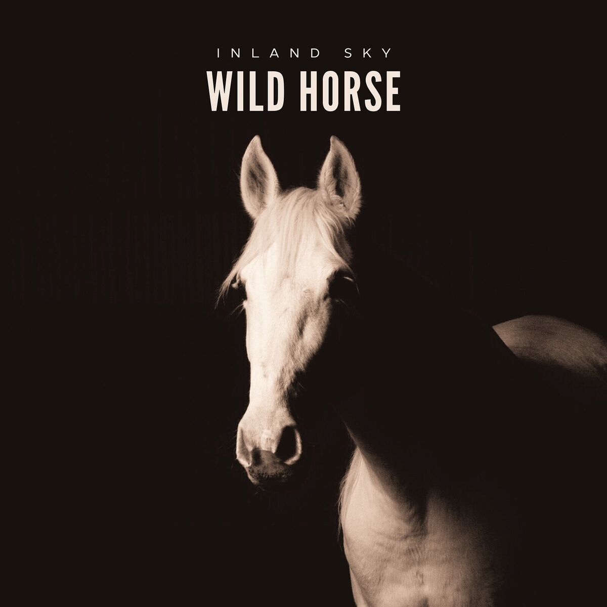 Album cover of Strangers