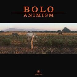 Cover of Animism