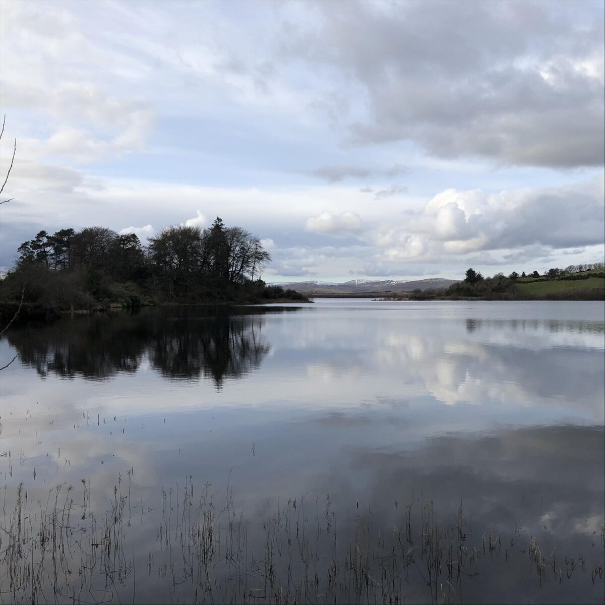 Album cover of Reflectie