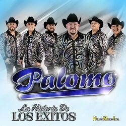 Cover of La Historia de Los Exitos