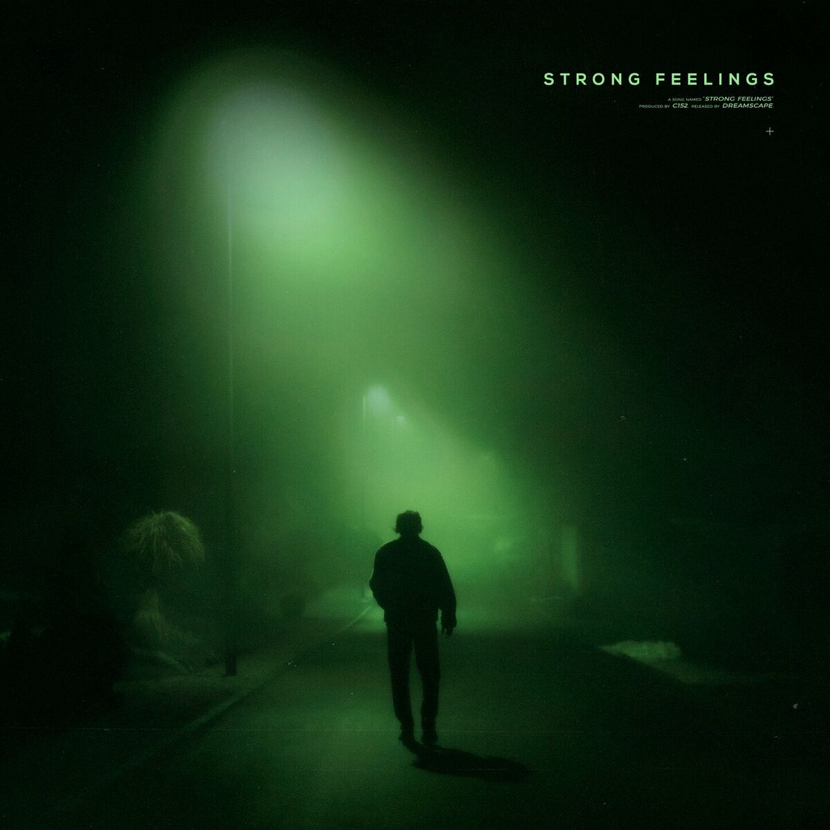 Album cover of strong feelings