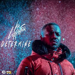 Cover of Déterminé