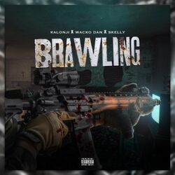 Cover of Brawling