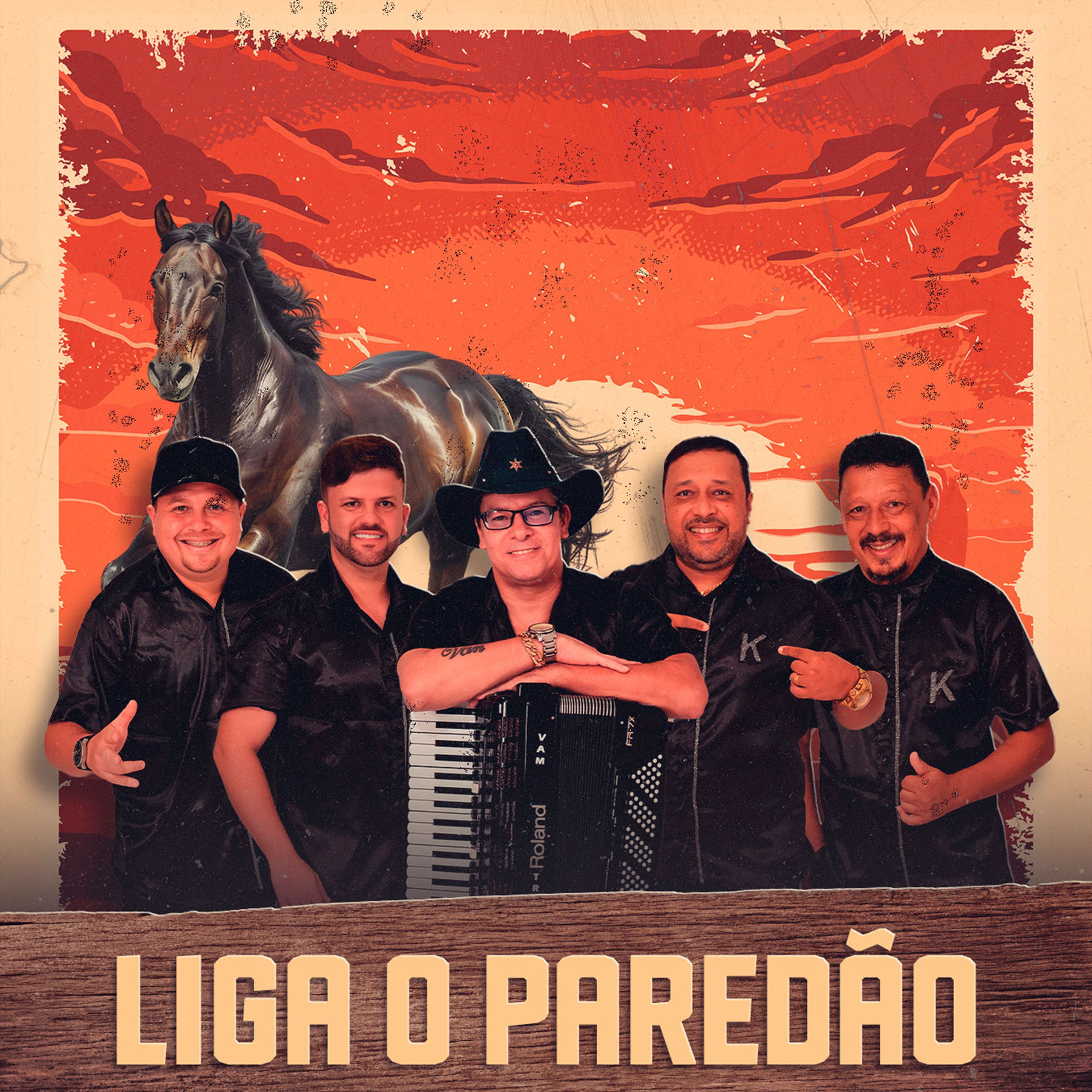 Album cover of Liga o Paredão