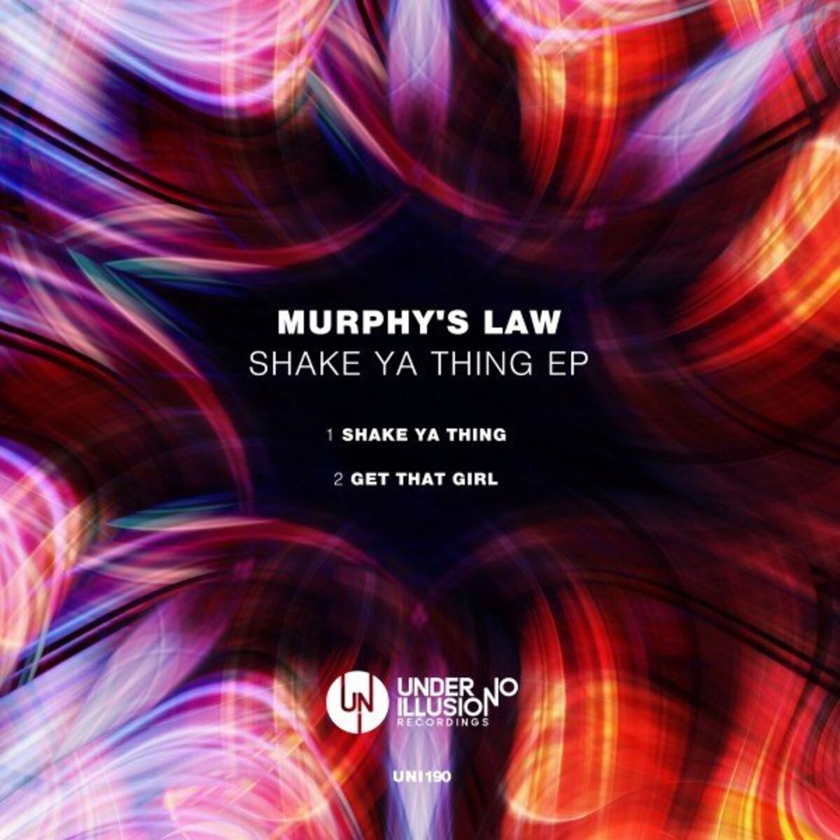 Album cover of Shake Ya Thing EP