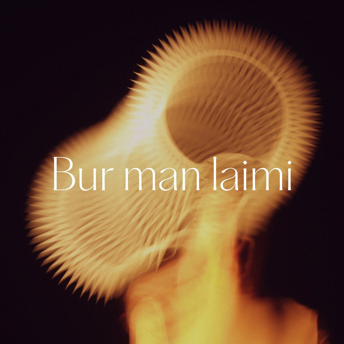 Album cover of Bur man laimi