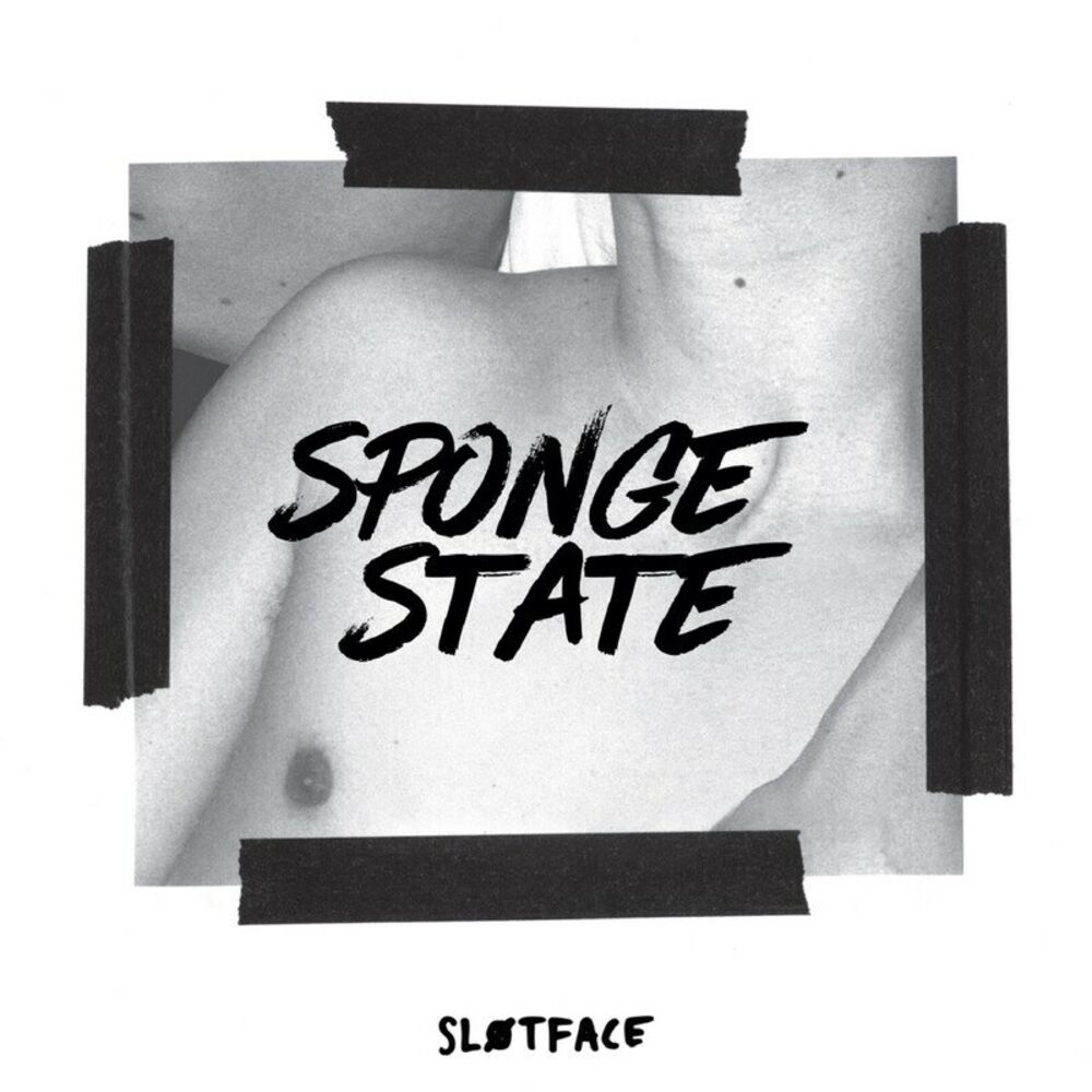 Picture of Sponge State