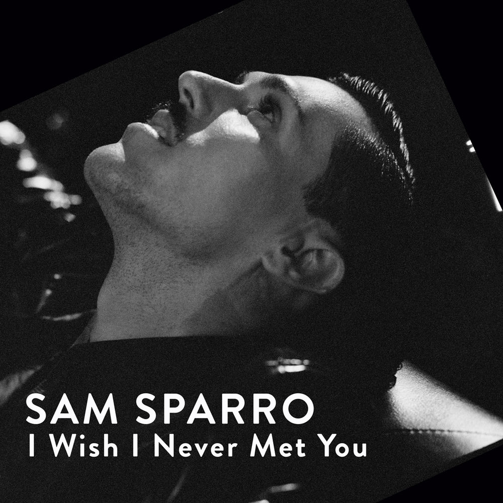 I Wish I Never Met You album cover