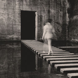 Cover of Sculpture of Violence