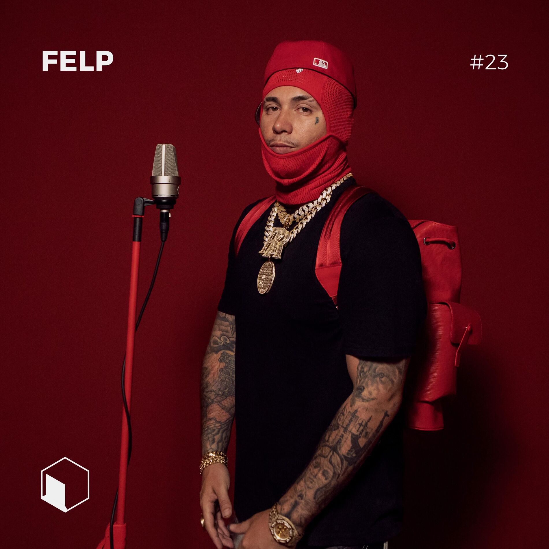 Album cover of SALA VERMELHA #23 - Felp 22