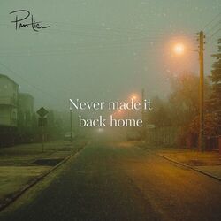 Cover of never made it back home