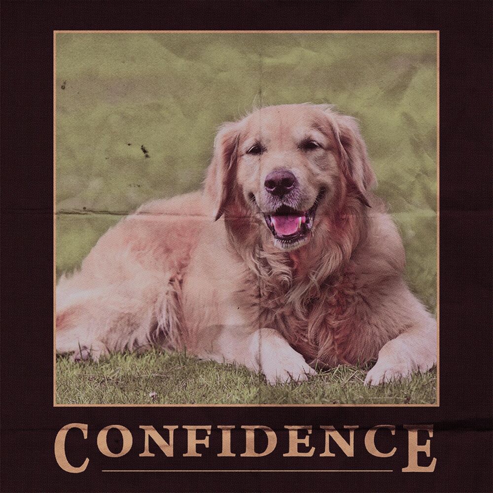 Picture of Confidence