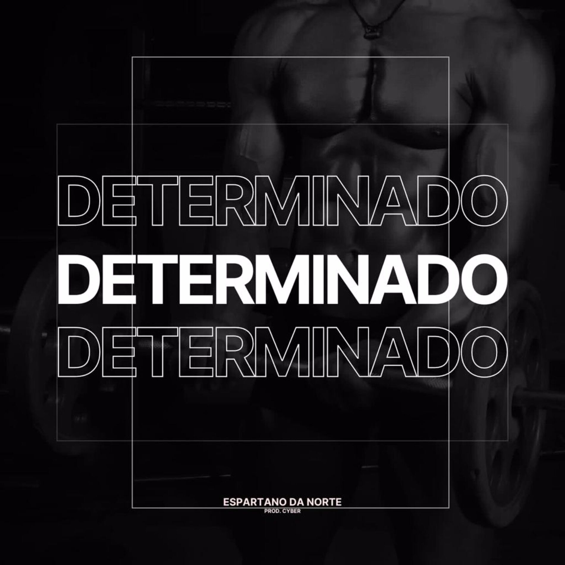 Album cover of Determinado