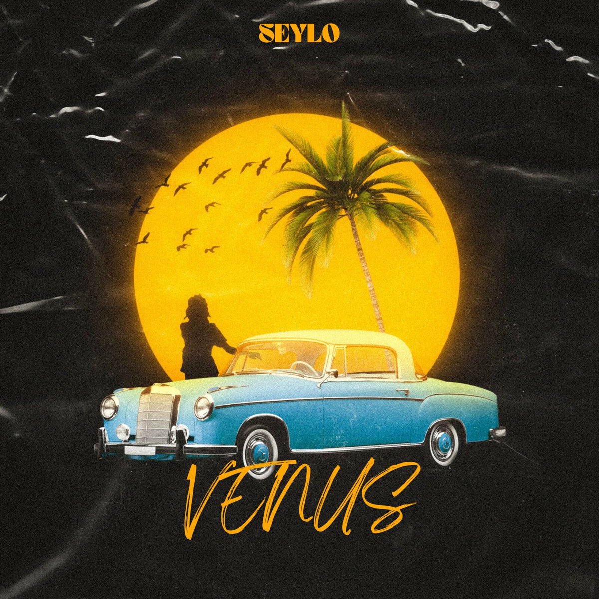 Album cover of Venus