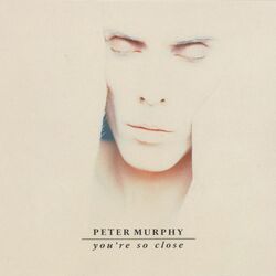Cover of You're So Close