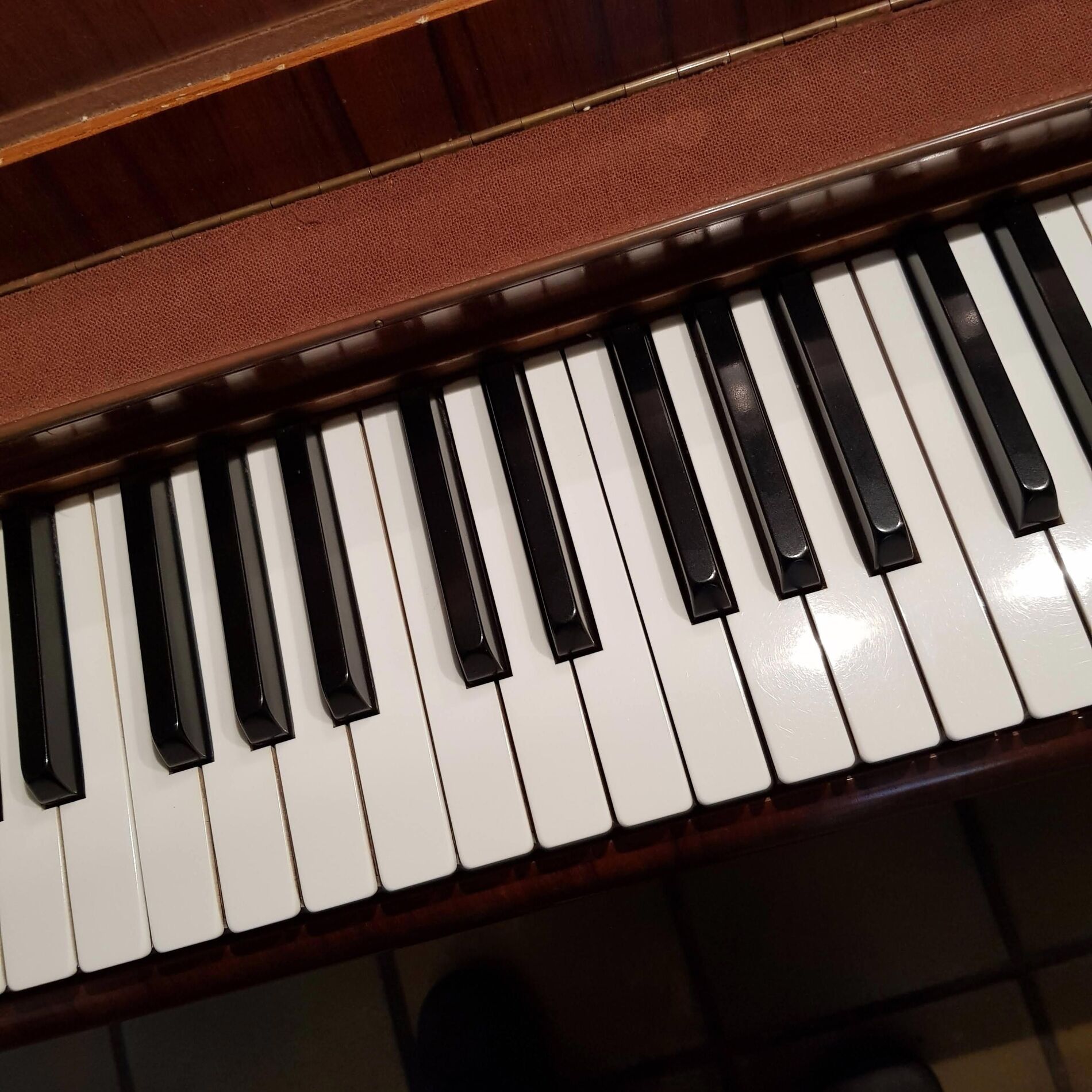 Album cover of Prelude in E minor, Op. 28
