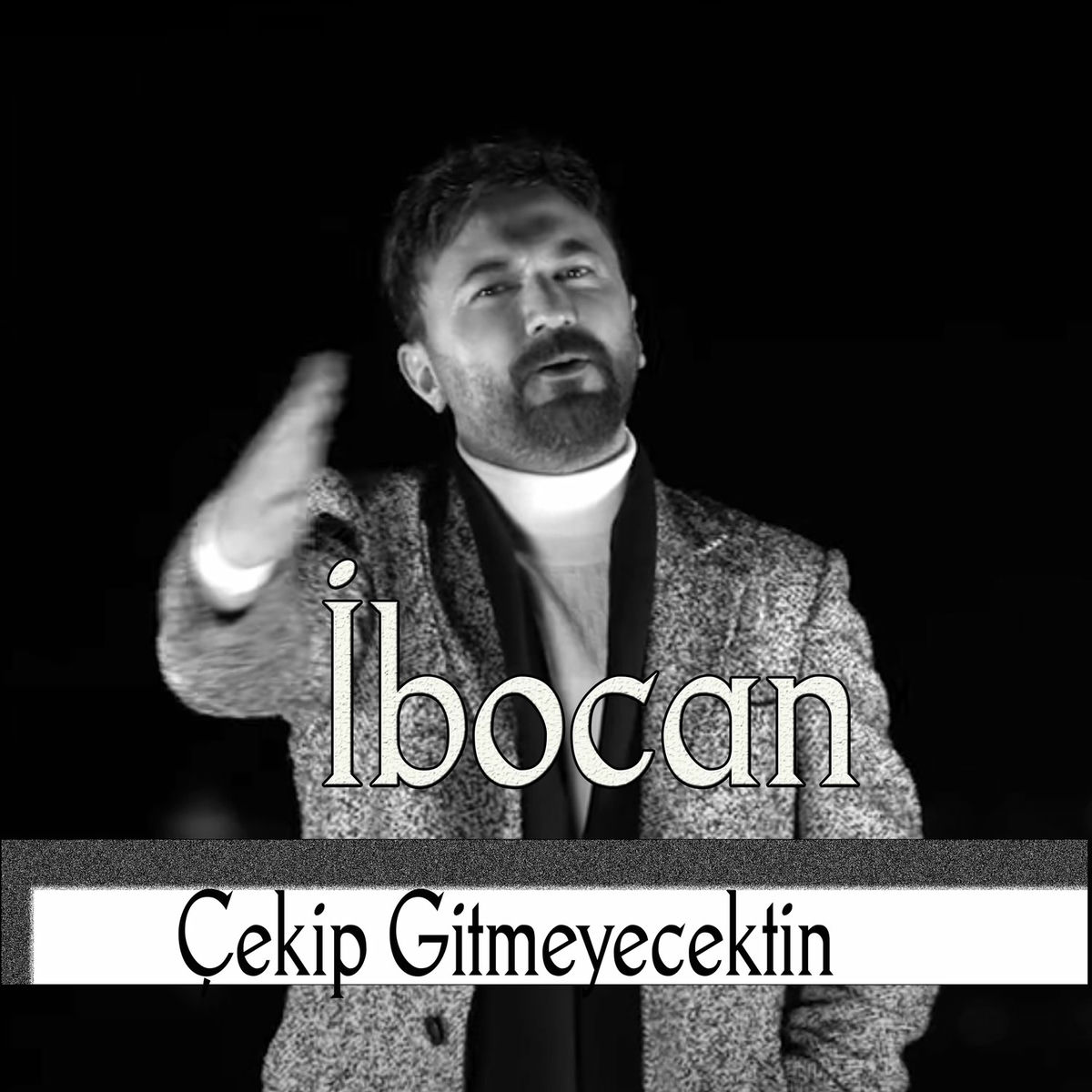 Album cover of Çekip Gitmeyecektin