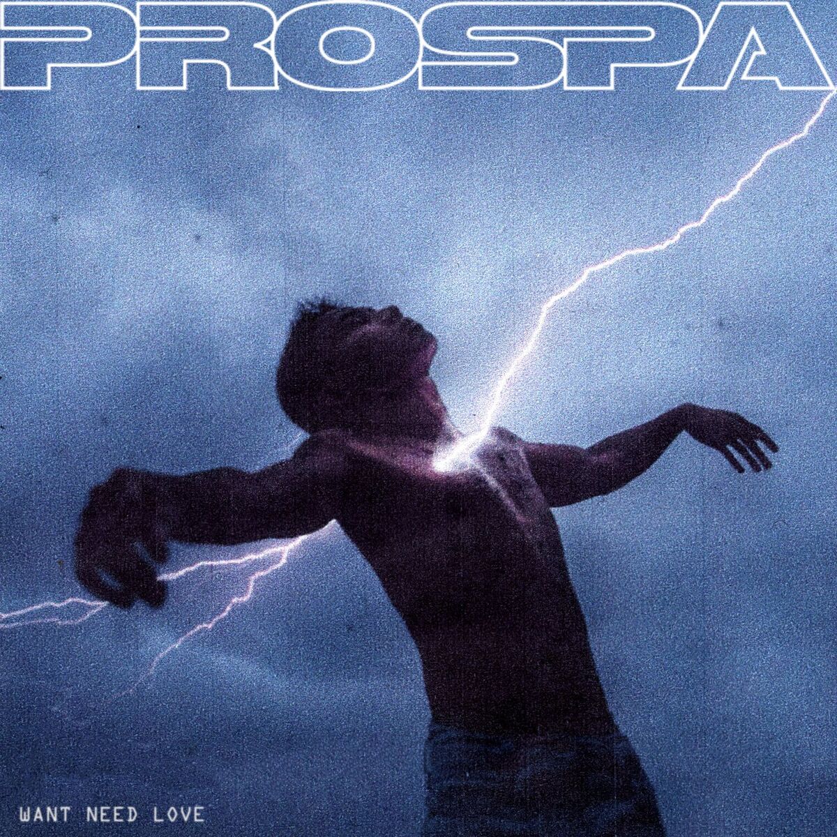 Album cover of WANT NEED LOVE