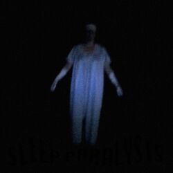 Cover of Sleep Paralysis