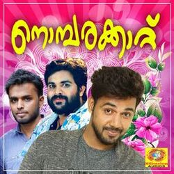 Cover of Nombarakaattu