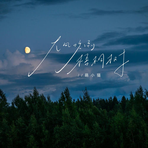 大风吹倒梧桐树
