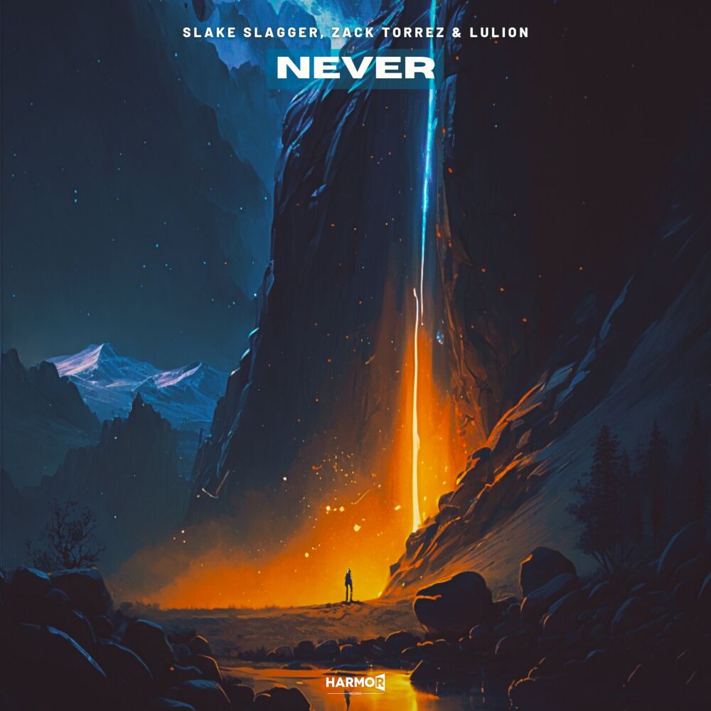 Picture of Never