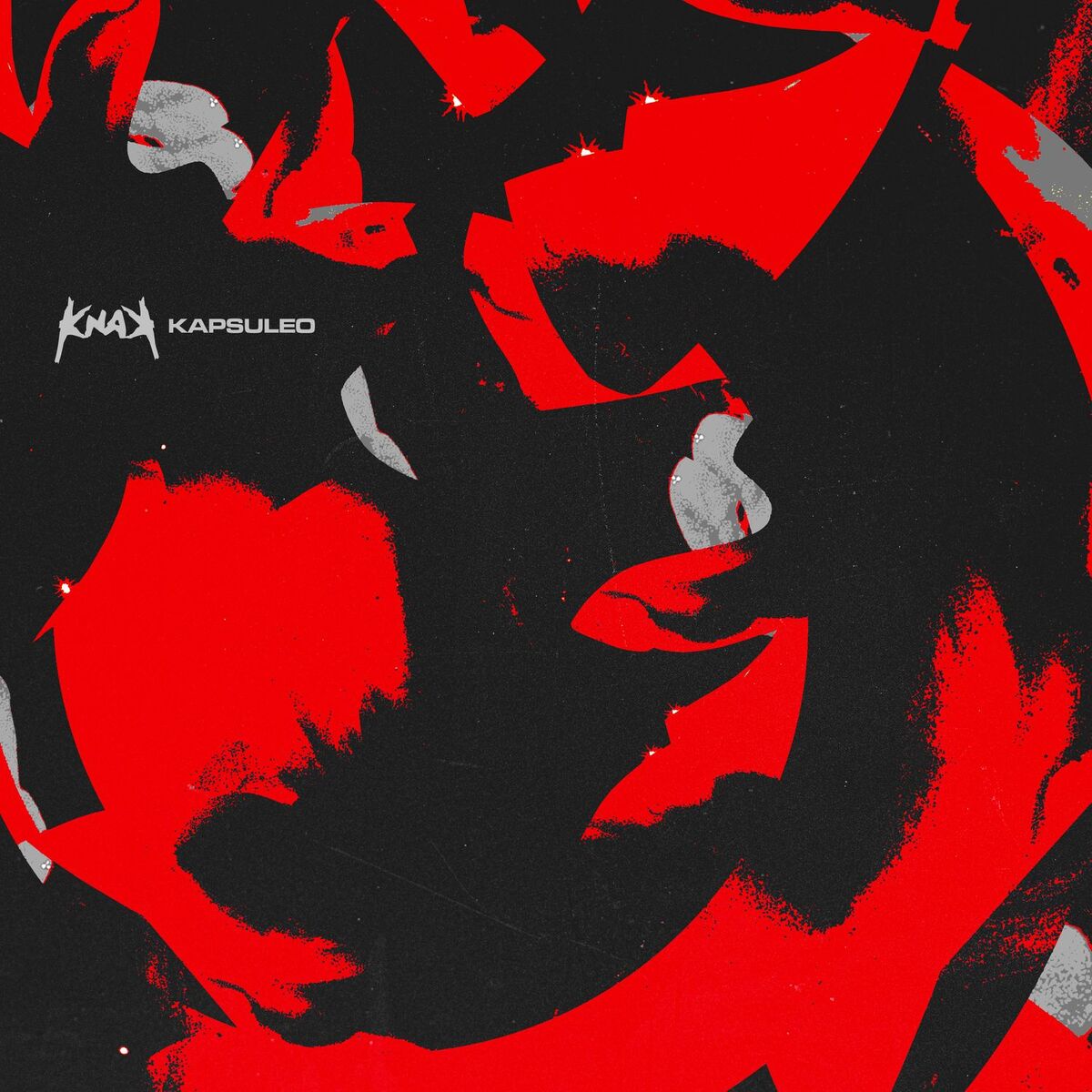 Album cover of Kapsuleo