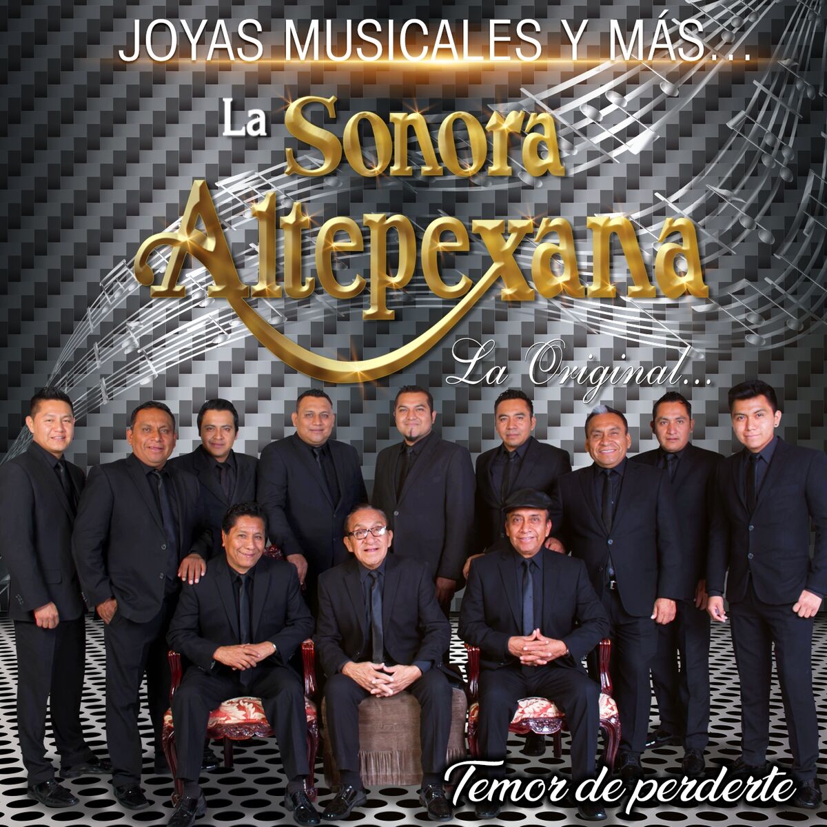 Album cover of Temor de Perderte (Joyas Musicales y Más)