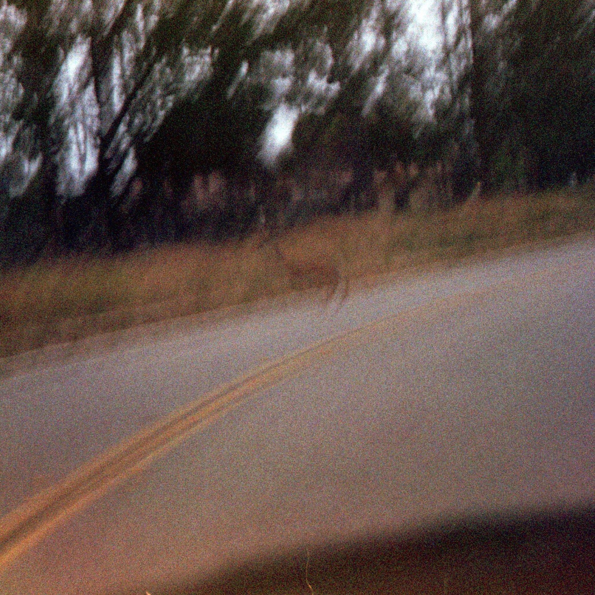 Album cover of Collection 1