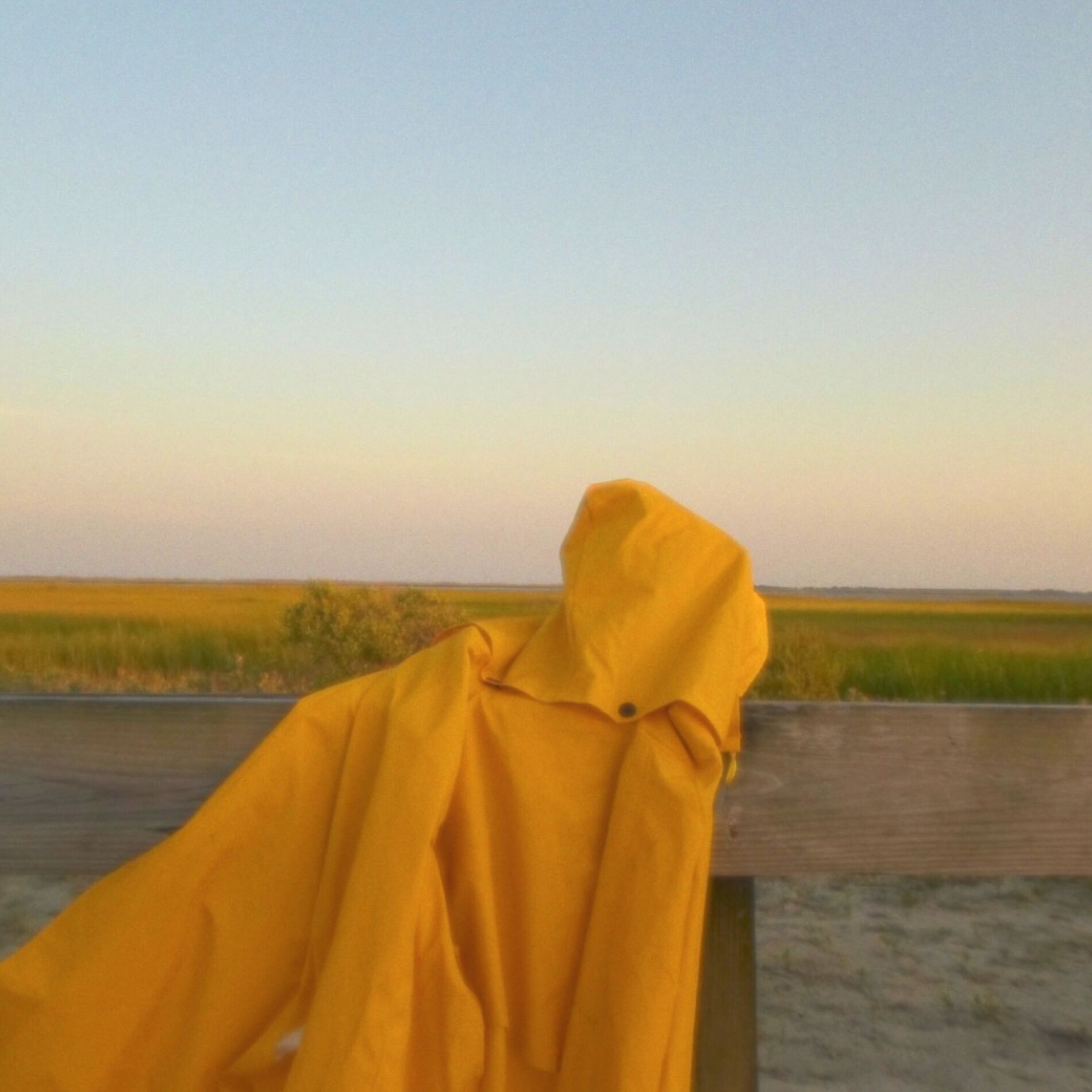 Album cover of july