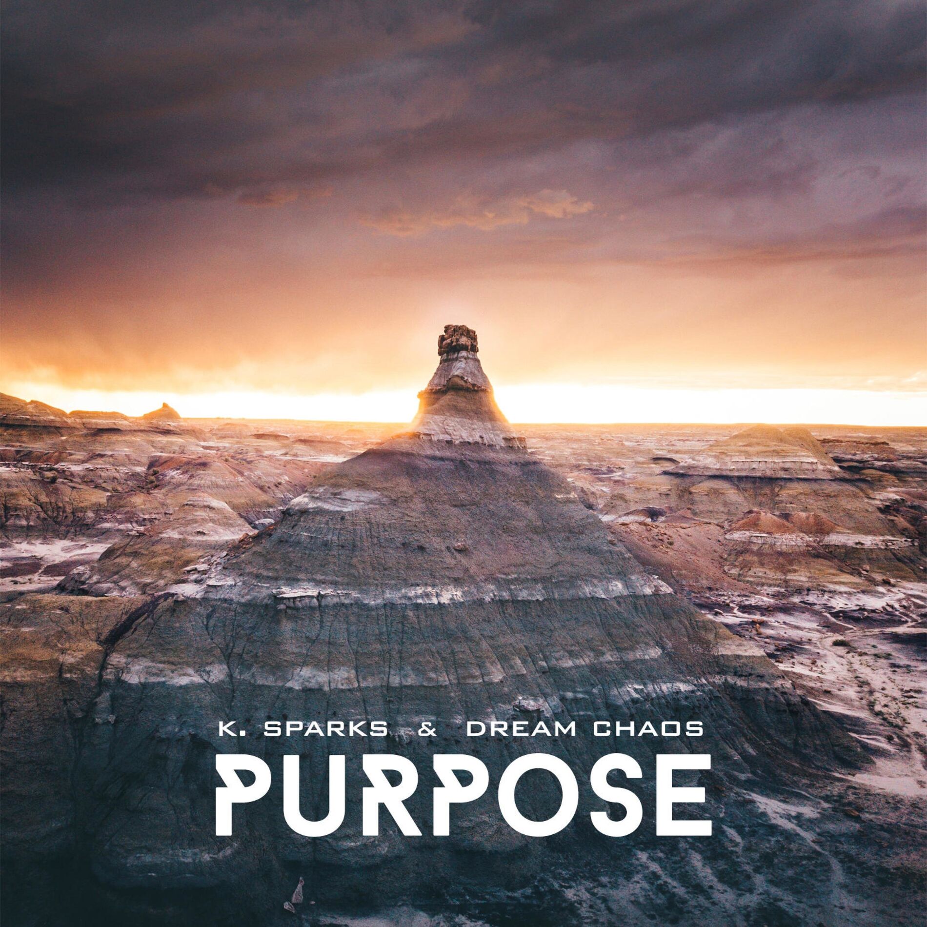 Album cover of Purpose