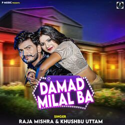 Cover of Damad Milal Ba
