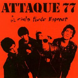 Cover of El Cielo Puede Esperar
