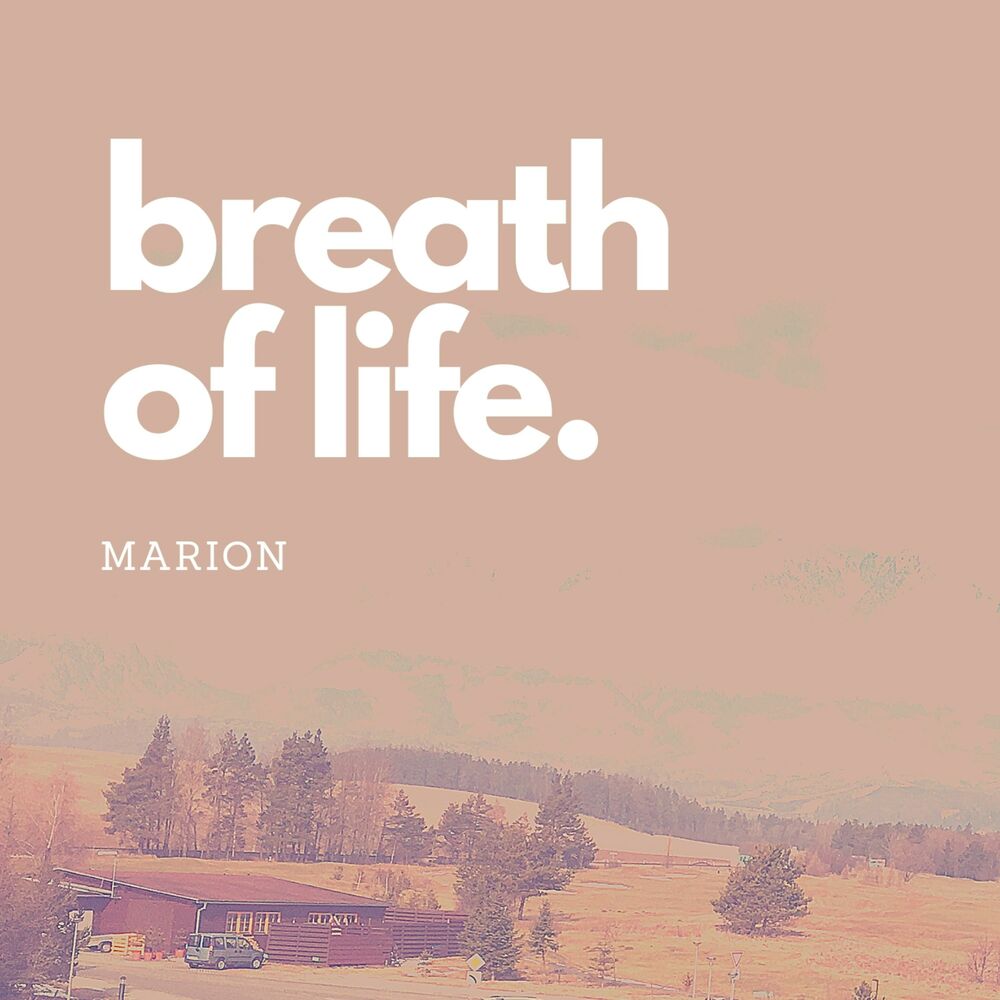 Picture of Breath of Life