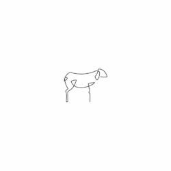 Cover of My Black Sheep 10Y Anniversary Mixes