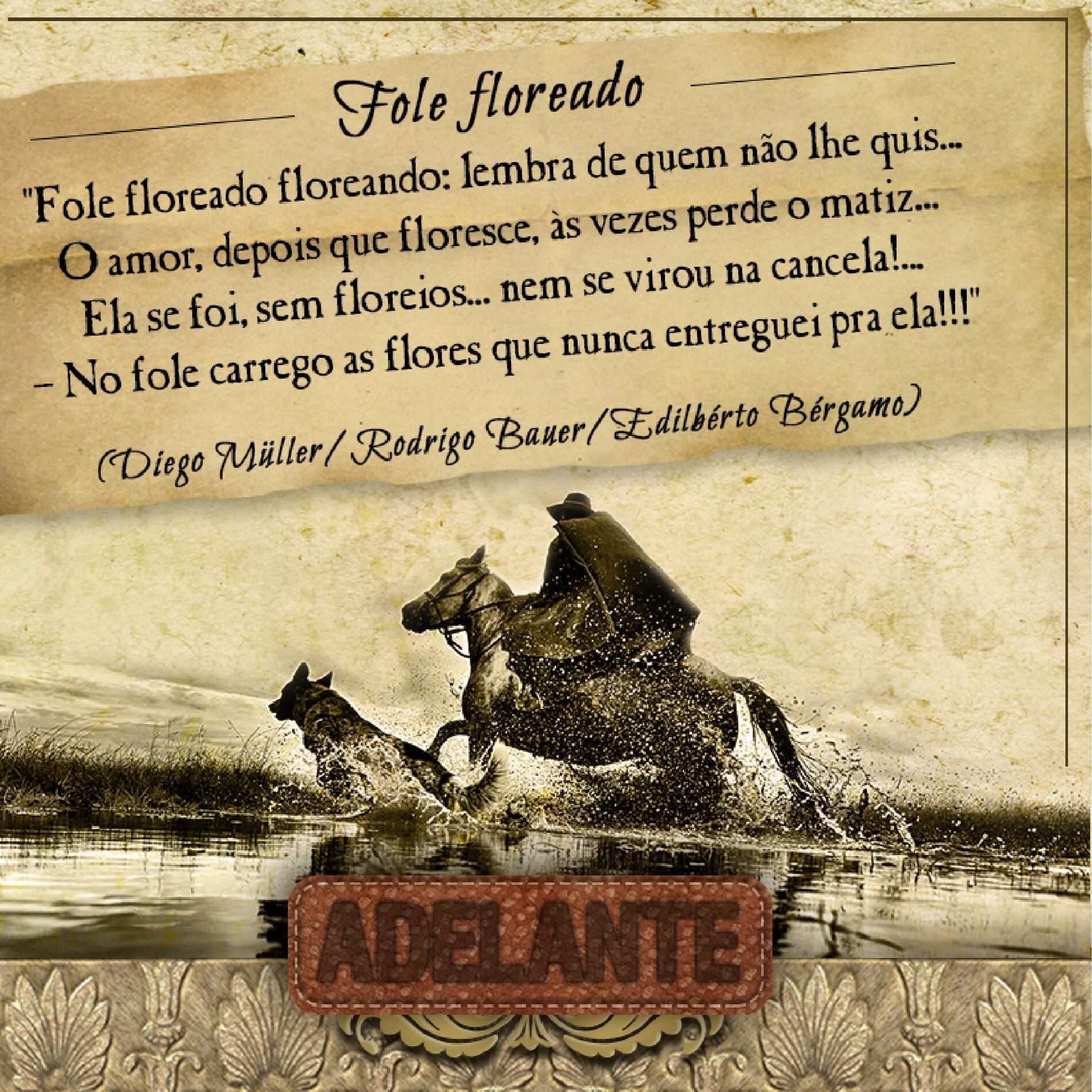 Album cover of Fole Floreado