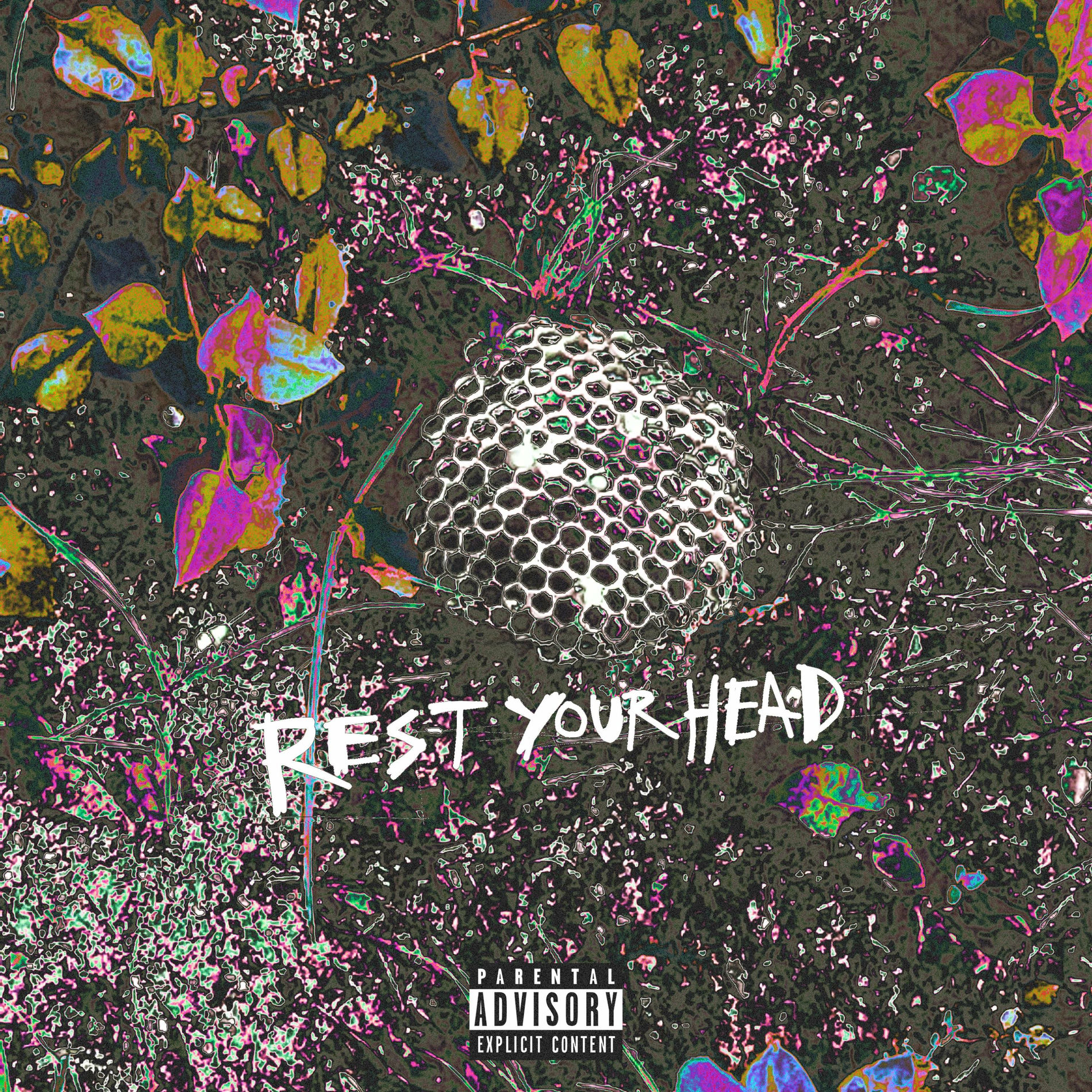 Album cover of rest your head