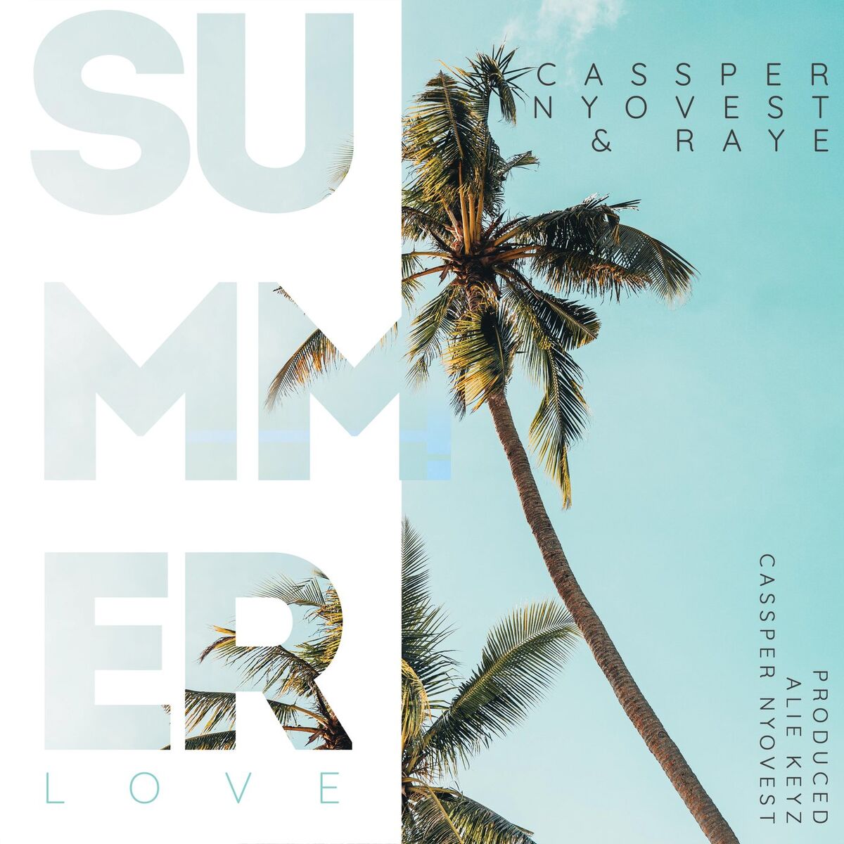 Album cover of Summer Love