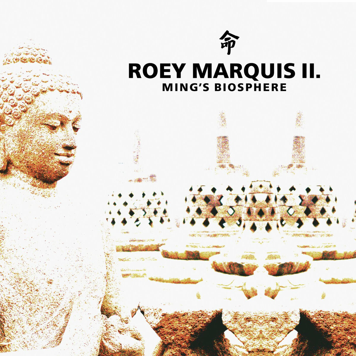 Album cover of Ming's Biosphere